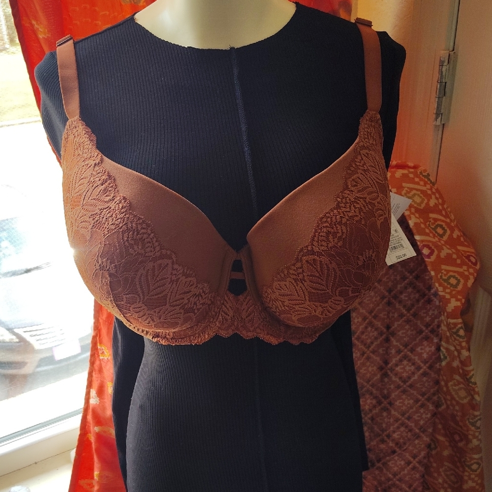Elegant Lace Trimmed Brown Bra